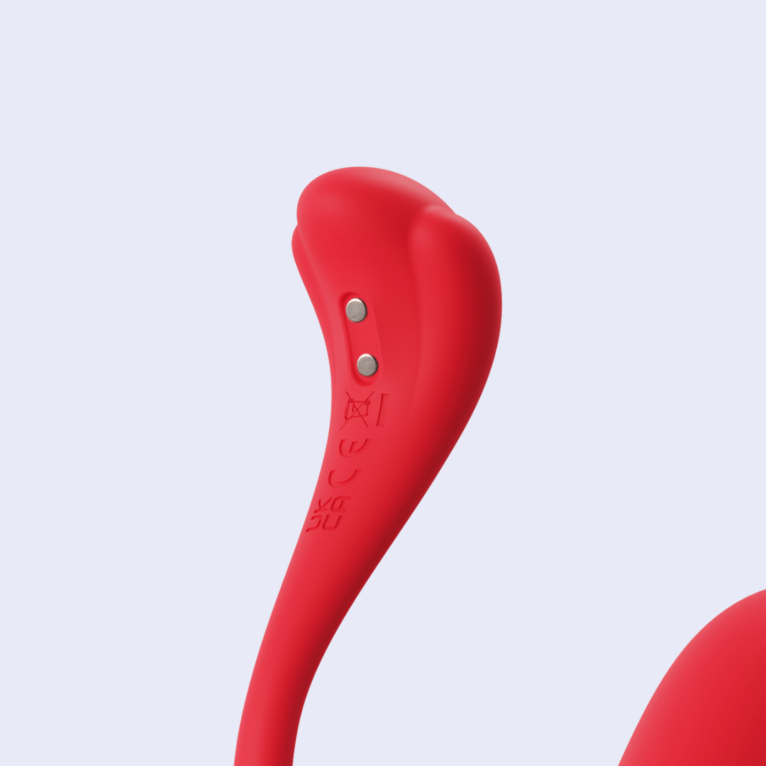 Svakom Bala Interactiva Phoenix Neo 2