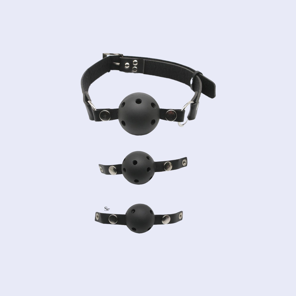 Pipedream Fetish Fantasy Ball Gag Training System