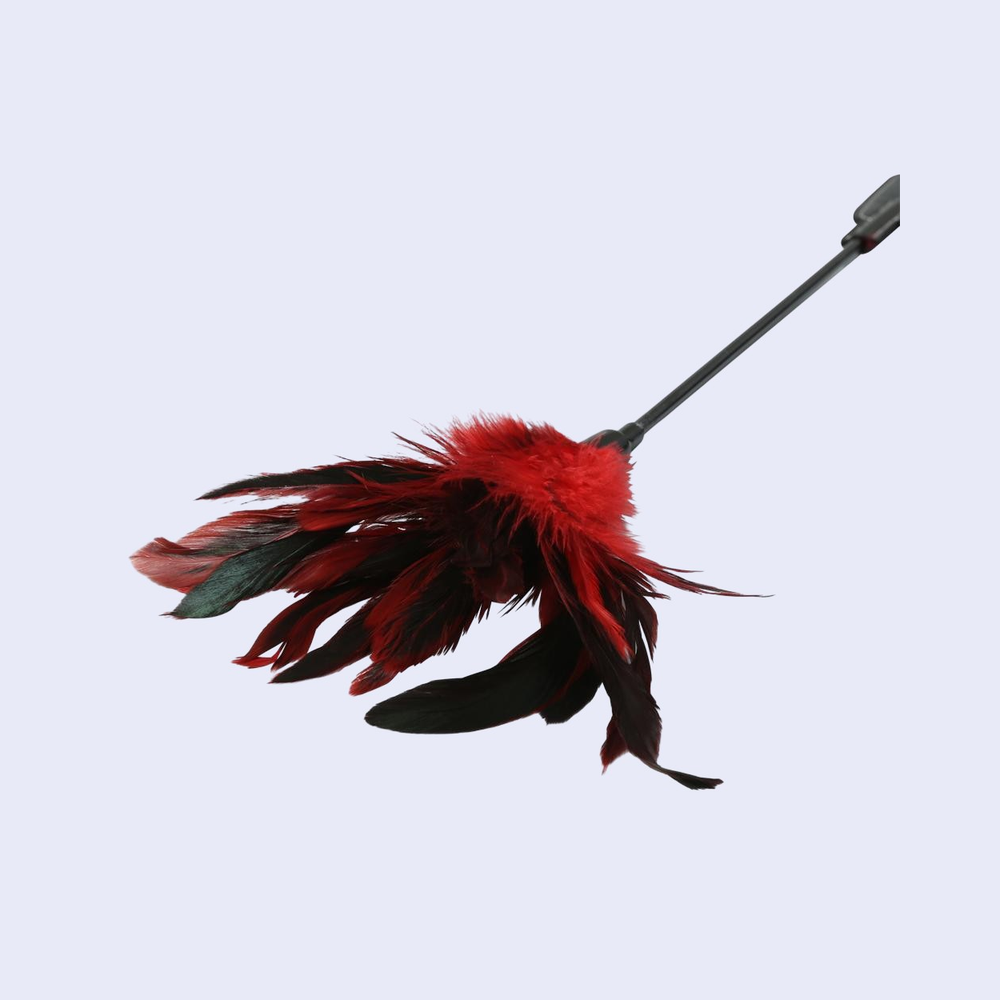 SPORTSHEETS S&M Feather Slapper Tickler