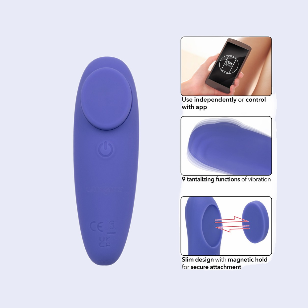 CalExotics Connect Panty Teaser App Controlled
