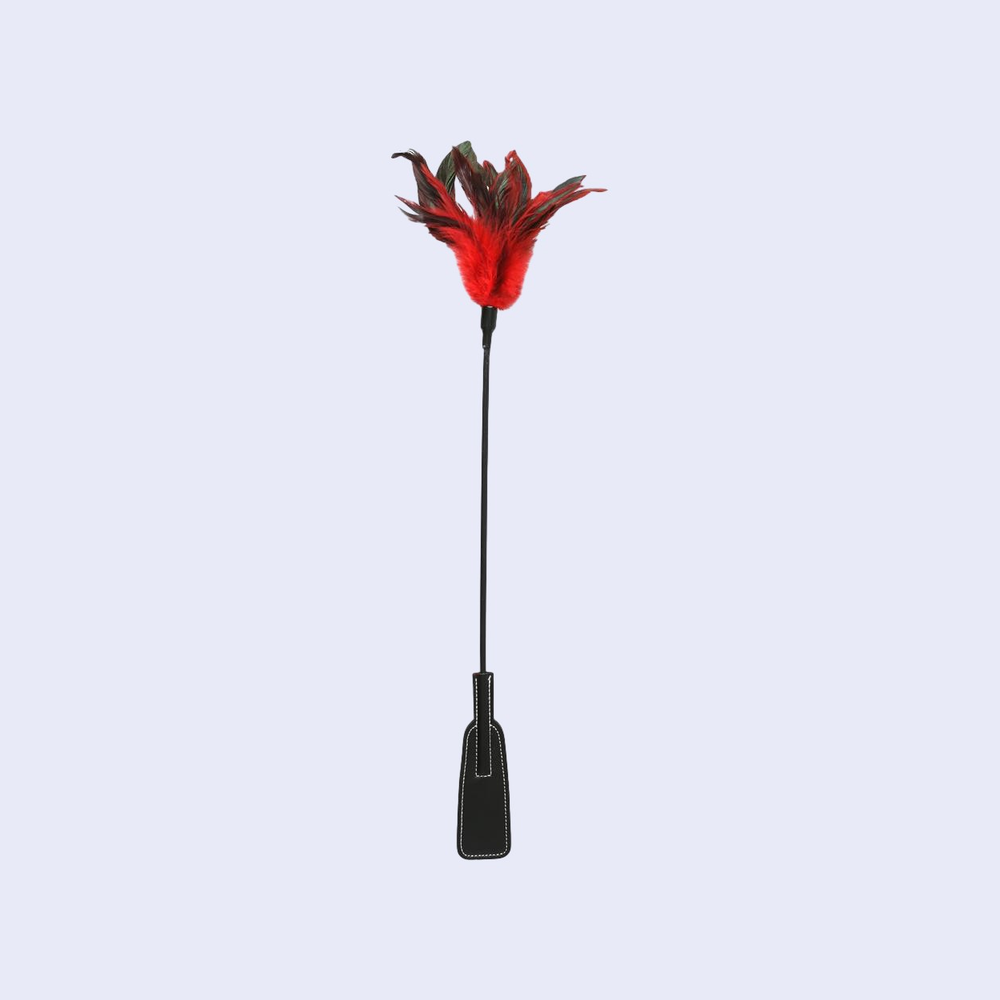 SPORTSHEETS S&M Feather Slapper Tickler