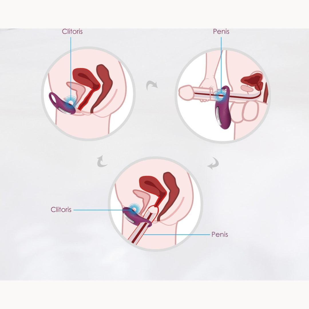 Svakom Anillo Vibrador Winni - La Pepa